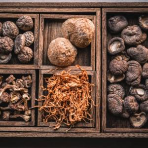 Đông Trùng Hạ Thảo Nguyên Liệu Độc Đáo Trong Những Món Ăn